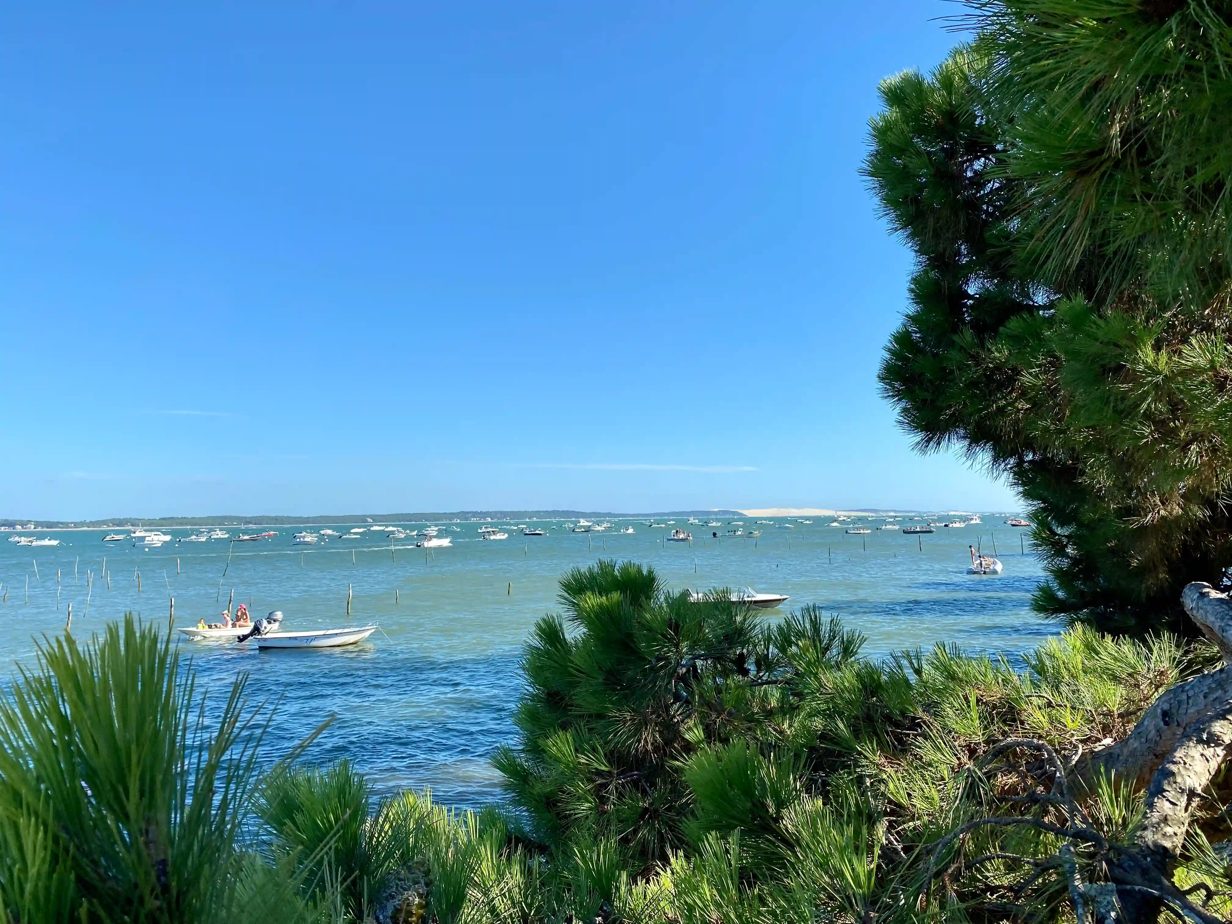 Vue sur la dune depuis la plage de la Chapelle au Cap-Ferret