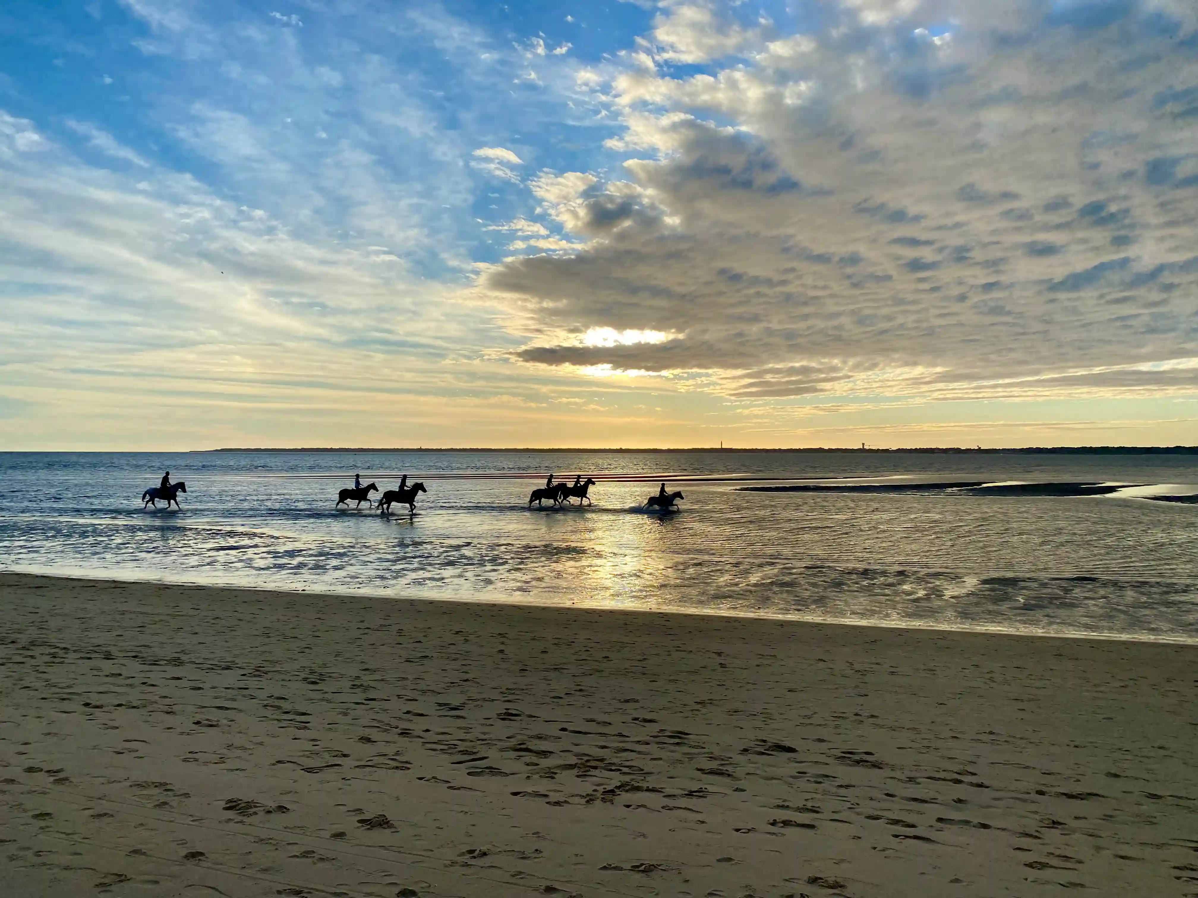Chevaux sur la plage Pereire à marée basse à Arcachon